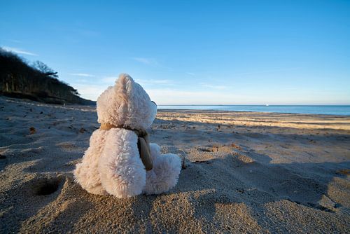 verdrietige teddybeer met reislust op het strand van Warnemünde