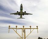 Das Transavia-Flugzeug landet am Flughafen Rotterdam Den Haag über einer hellen Leiste der Startbahn von André Muller Miniaturansicht