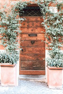 Bruine houten voordeur Rome van Merel Naafs