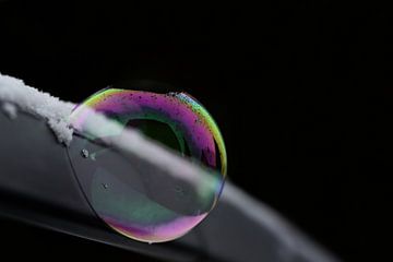 Bubble van Ulrike Leone