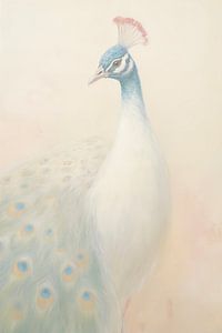 Elegant Peacock by Whale & Sons