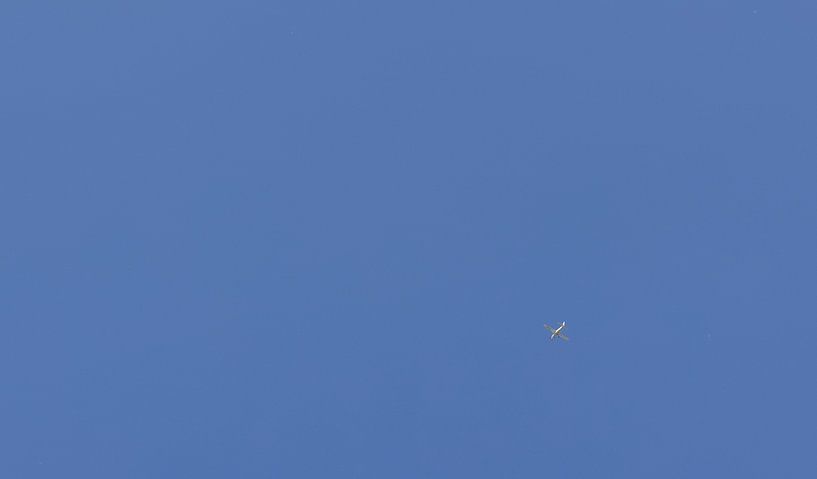 Flying airplane by Percy's fotografie
