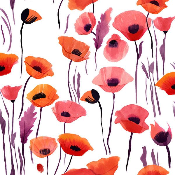 Poppies painting Watercolour by ComfortQ