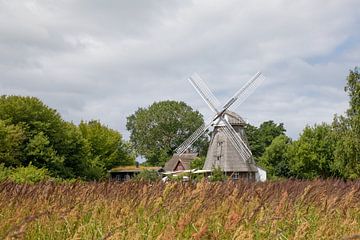 Windmühle in Ahrenshoop von t.ART