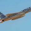 Aigle McDonnell Douglas F-15C de l'armée de l'air américaine. sur Jaap van den Berg