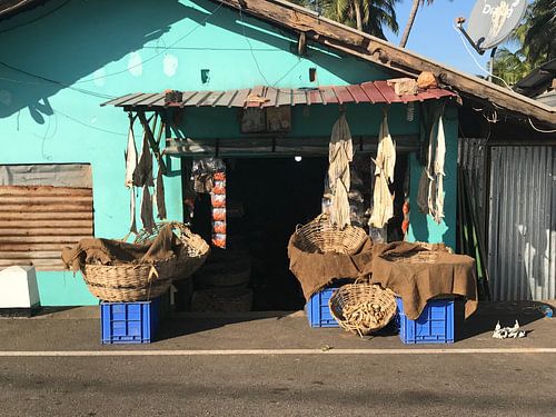 Vente de poisson au Sri Lanka