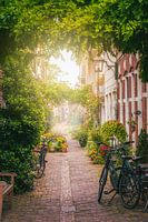 Lane in Haarlem