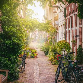 Lane à Haarlem sur Creacas