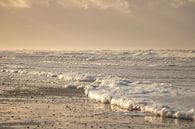 Zachte kleuren op een Nederlands strand van Arthur Puls Photography thumbnail