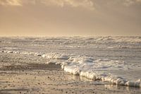 Soft colours on and North Holland beach