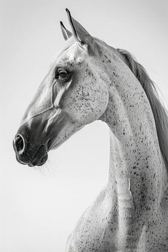 De Gratie van de Gevlekte Arabier