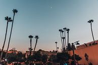 Marrakesh in het avondlicht van Dayenne van Peperstraten thumbnail
