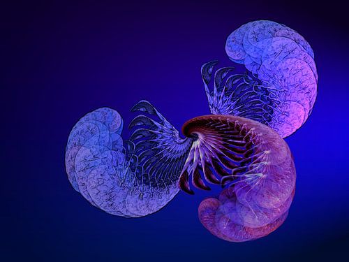 Formen der Phantasie