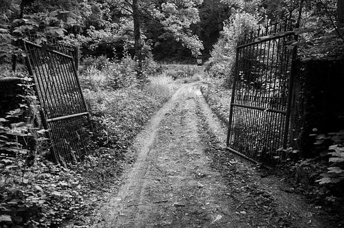 An open gate by Geert Van Baelen