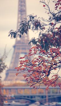 Dreamy Paris France by Rob van der Teen