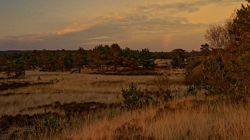 Regenboog op de Asselse heide (2)