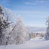 Sneeuw in Fins Lapland van Maria-Maaike Dijkstra