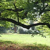 Anthony Michael profielfoto