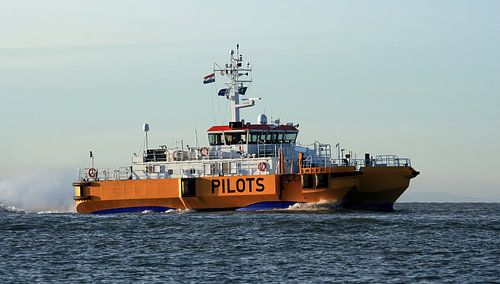 Bateau pilote Vlissingen