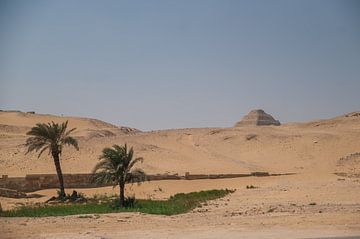 Palmiers avec la pyramide à degrés de Saqqara en arrière-plan sur Stefanie de Boer