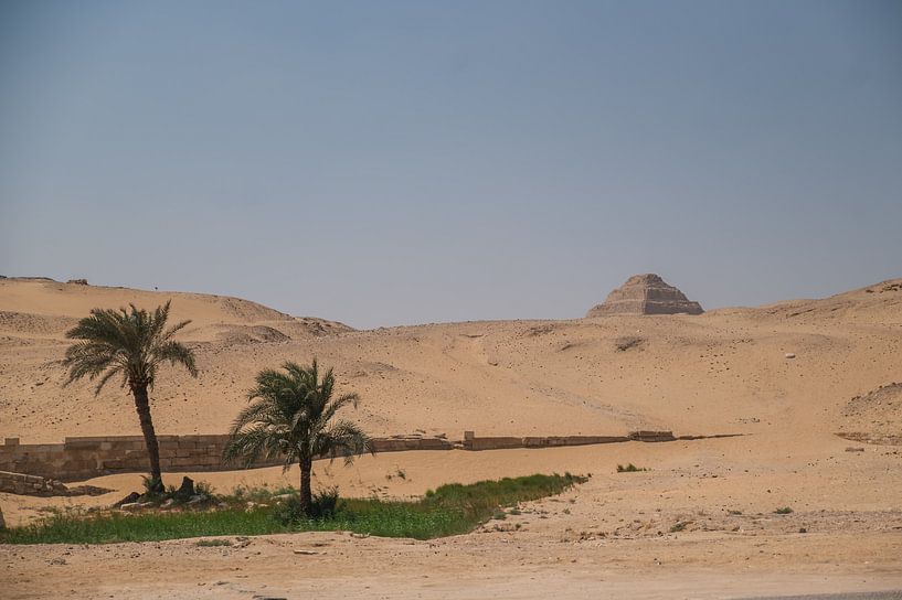 Palmiers avec la pyramide à degrés de Saqqara en arrière-plan par Stefanie de Boer