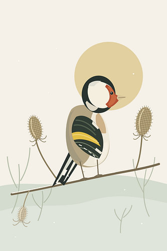European Goldfinch — Teasel Gold
