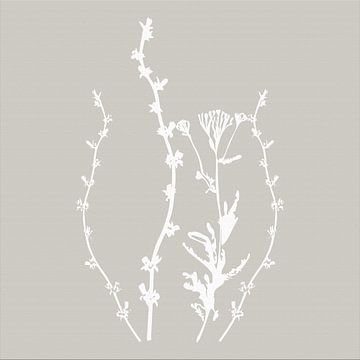 Botanica Delicata. Abstracte Retro Botanical in beslagen grijs en wit van Dina Dankers