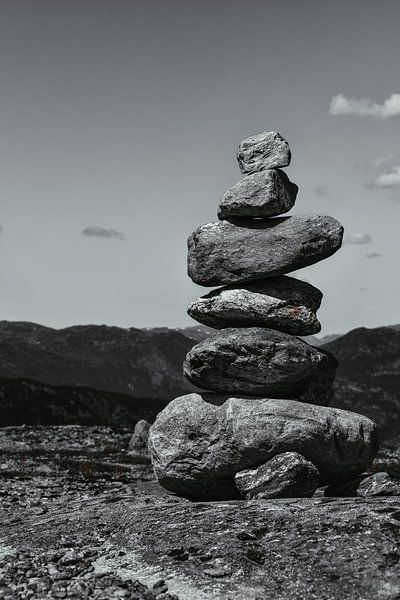 Stoneman par Wouter Verhage