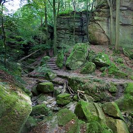 Rotsen in Mullerthal, Luxemburg van Kees van Dun