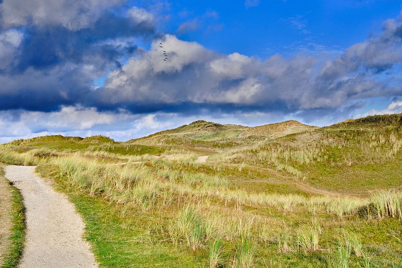 Julianadorp hiking trail in the dunes by eric van der eijk