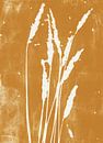 Gras in Retro-Ockergelb. Botanische Illustration. Moderne minimalistische Kunst. von Dina Dankers Miniaturansicht