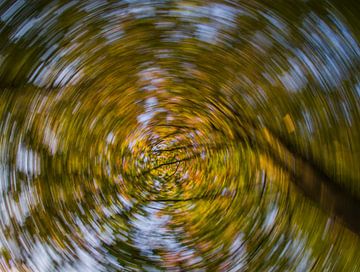 Une horloge de feuilles qui tourne sur Bianca Fortuin