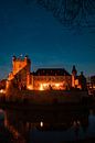 Kasteel Huis Bergh onder de sterren van Marco Scheurink thumbnail