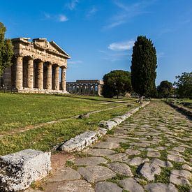 Ancient Paestum by Remko Bochem