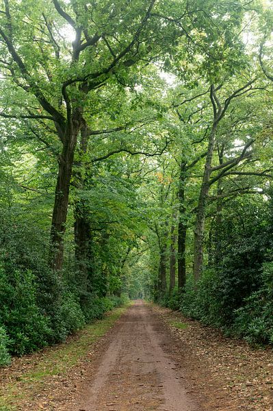 Smalenbroek country estate Enschede by Richard Wareham