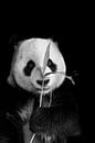Großer Panda von Esther van Engen Miniaturansicht