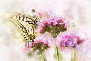 Schmetterling 13 von Silvia Creemers