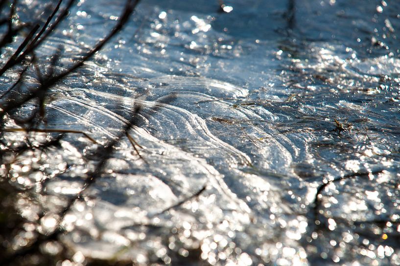 Details van een bevroren grasland dat onder water staat  van Fotografiecor .nl