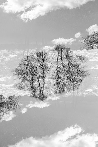 Gespiegelde bomen (1) van Mark Scheper