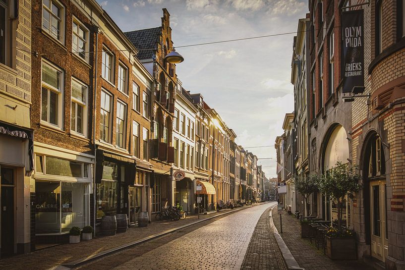Dordrecht op zijn mooist van Dirk van Egmond