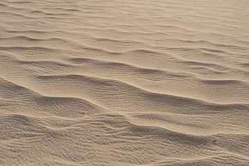 Sandstrukturen in Beige von Tobias van Krieken