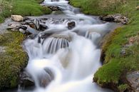 Defrost Water van Cornelis (Cees) Cornelissen thumbnail