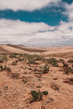 Marokkaans landschap 2 van Andy Troy