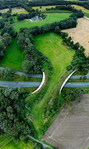 Luchtfoto oversteekplaats dieren