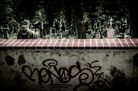 Behind the wall van Ruud Peters thumbnail