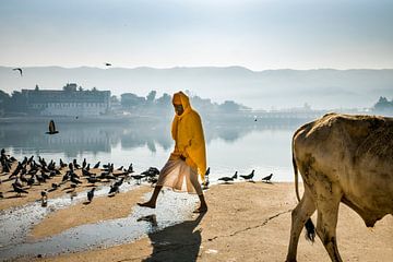 Pushkar, India van Paula Romein