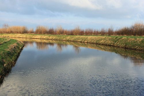 Landschap met water berm bomen struiken