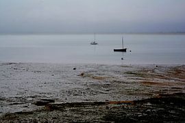 MET Z'N TWEEN 2 van Miroslav Ptacek