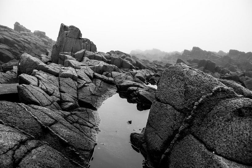Nebel, Briers Island, Nova Scotia von M. Cornu