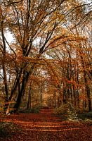 Herbst